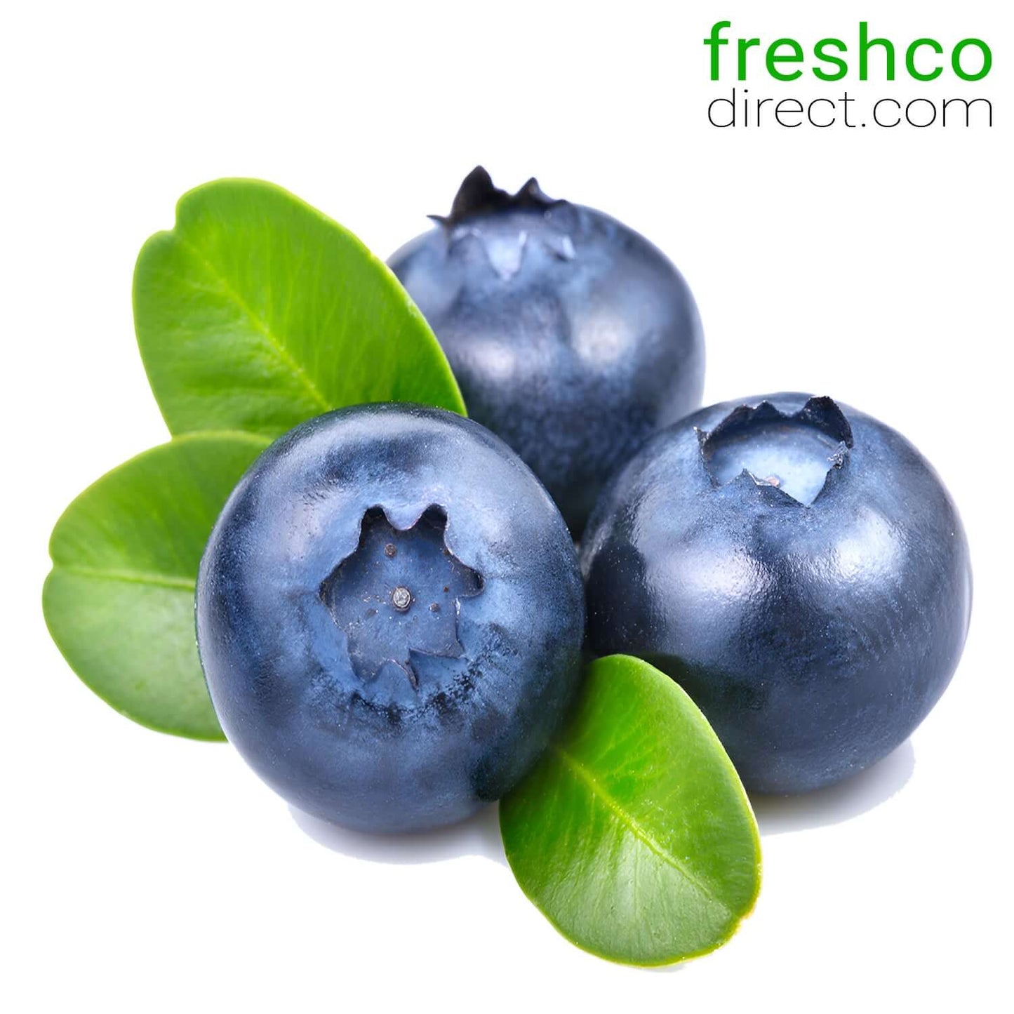Blueberries