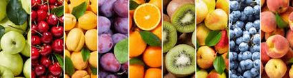 Fruit