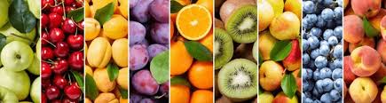 Fruit