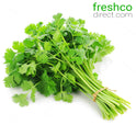 Coriander