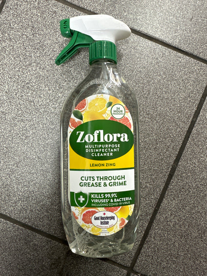 Bathroom Cleaning