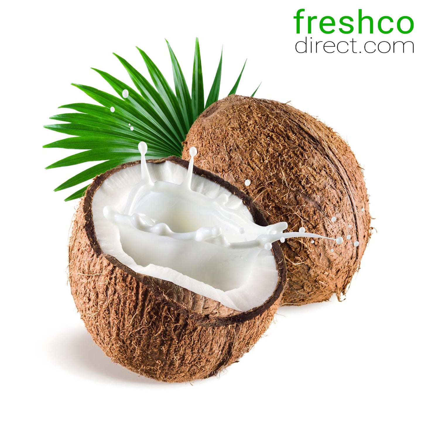 Coconuts