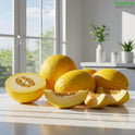 Honeydew Melon