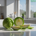 Green Cabbage