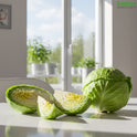 Iceberg Lettuce