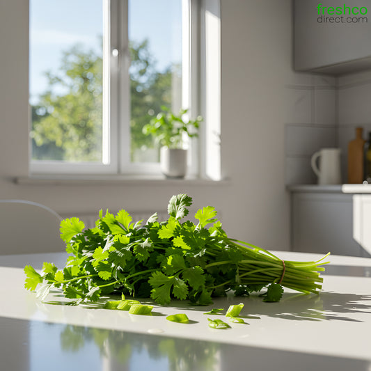 Coriander