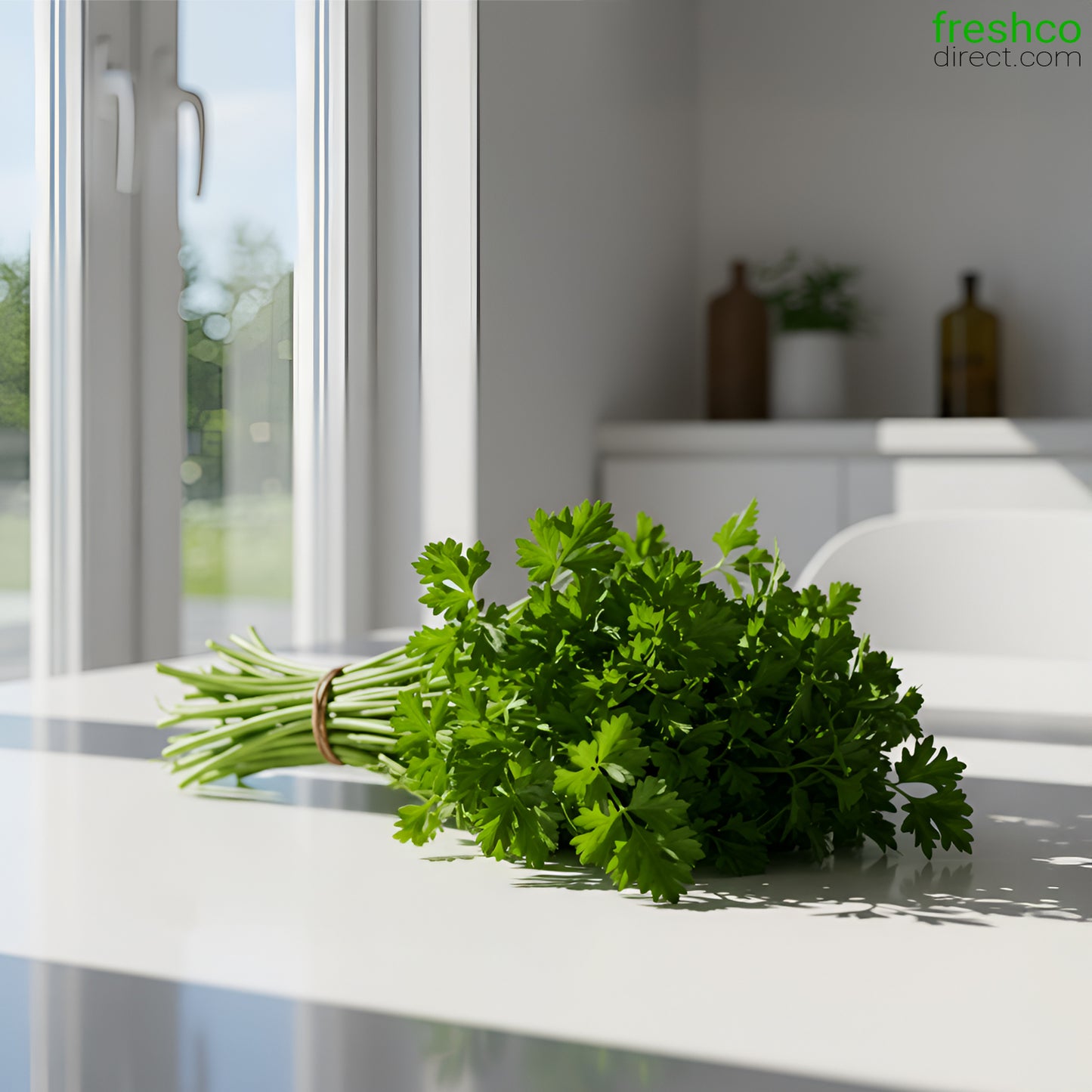 Coriander